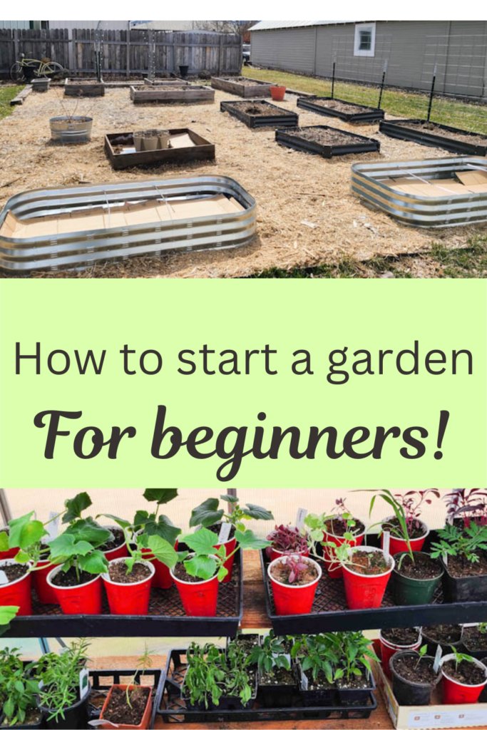 How to plan a garden for beginners