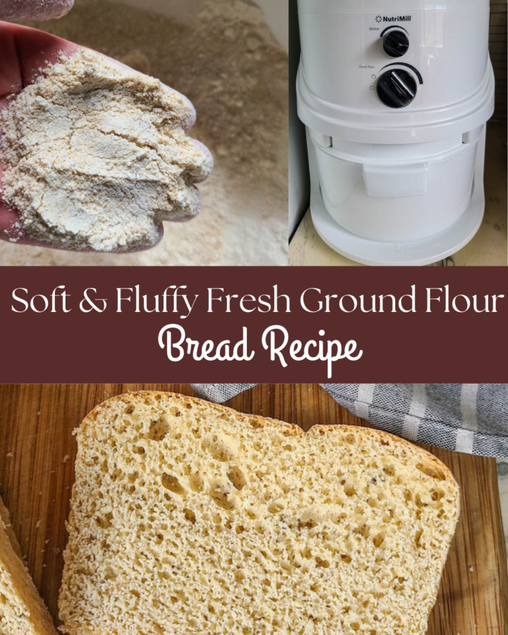 Fresh milled flour bread recipe
