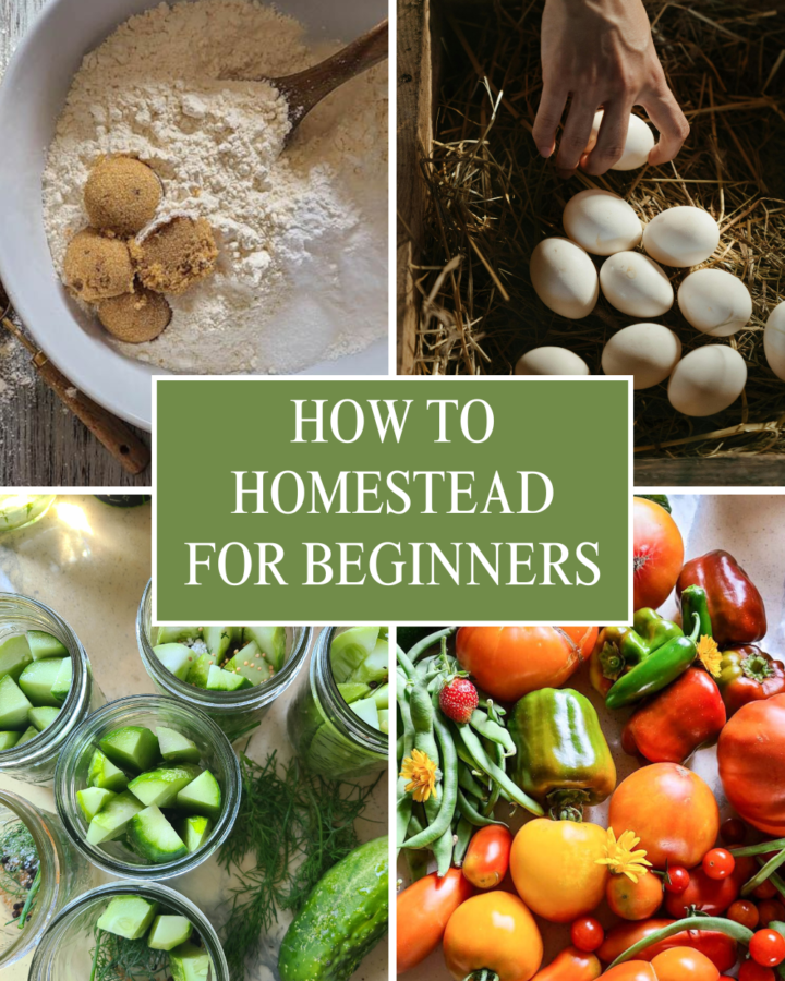 How to homestead for beginners
